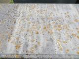 image of grave number 891114